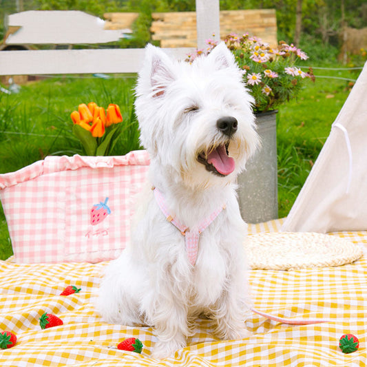 JMT-423114 Fashionable Pastoral Flower and Fruit Pet Leash Set in Pineapple Yellow and Peach Powder