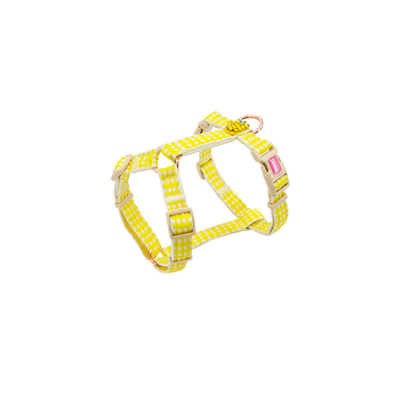 JMT-423114 Fashionable Pastoral Flower and Fruit Pet Leash Set in Pineapple Yellow and Peach Powder