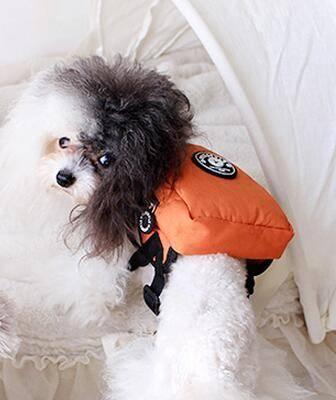 JMT-432074 Compact Backpack Carrier for Small Dogs and Cats