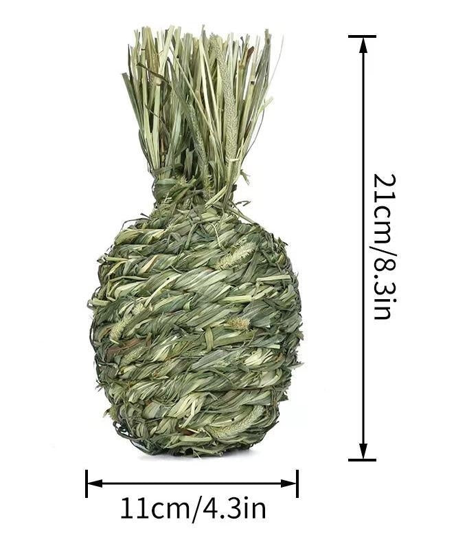 JMT-436426 Timothy Grass Pet Snack Toys for Rabbits and Guinea Pigs - Assorted Fruit Shapes