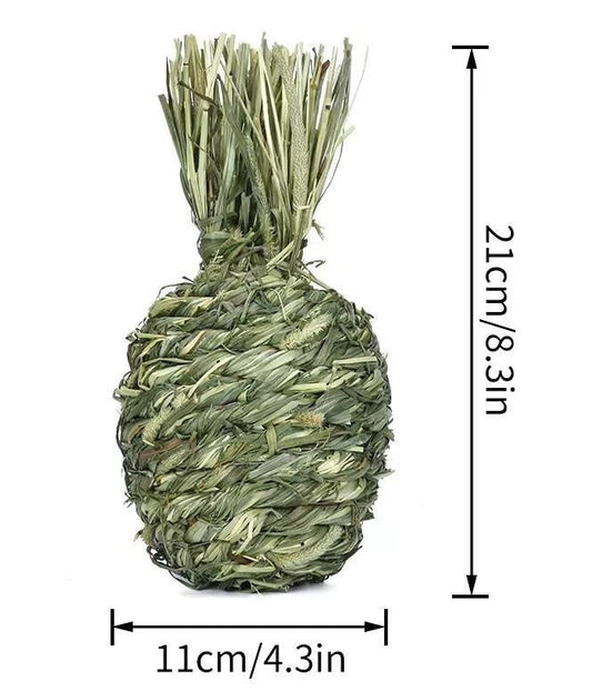 JMT-436426 Timothy Grass Pet Snack Toys for Rabbits and Guinea Pigs - Assorted Fruit Shapes