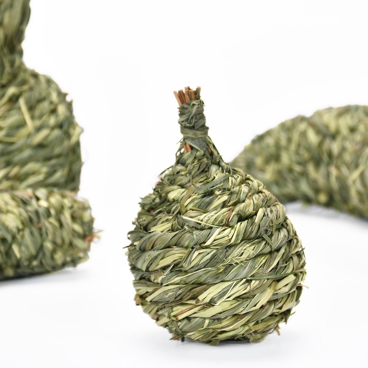 JMT-436426 Timothy Grass Pet Snack Toys for Rabbits and Guinea Pigs - Assorted Fruit Shapes