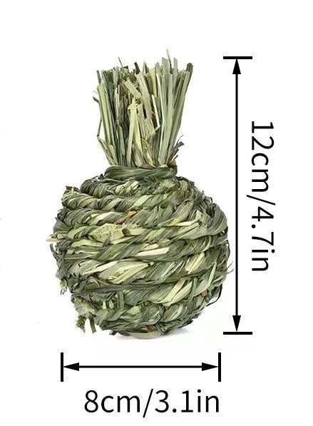 JMT-436426 Timothy Grass Pet Snack Toys for Rabbits and Guinea Pigs - Assorted Fruit Shapes