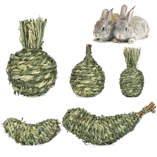 JMT-436426 Timothy Grass Pet Snack Toys for Rabbits and Guinea Pigs - Assorted Fruit Shapes