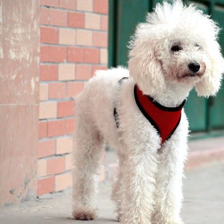 JMT-436618 Teddy Vest-Style Dog Walking Collar for Small Dogs - Red, Black, Yellow, Blue, Pink Sizes XS, S, M
