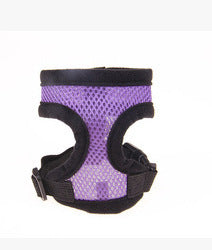 JMT-436618 Teddy Vest-Style Dog Walking Collar for Small Dogs - Red, Black, Yellow, Blue, Pink Sizes XS, S, M