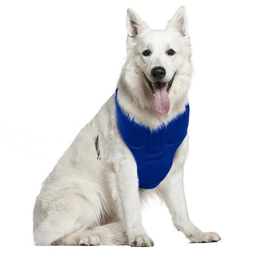 JMT-439242 Adjustable Cooling Collar for Pets – Innovative Heat Relief without Ice, Perfect for Dogs, Neck Size 34-40cm