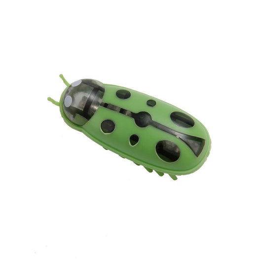 JMT-440714 Interactive Mini Electric Ladybug Cat Toy with Realistic Movement and Rechargeable Battery