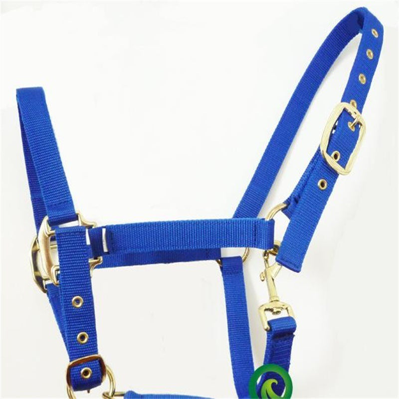 JMT-445834 Customizable Horse Bridle and Headgear for Equestrian Use, Nylon or PP Material, Available in Various Sizes