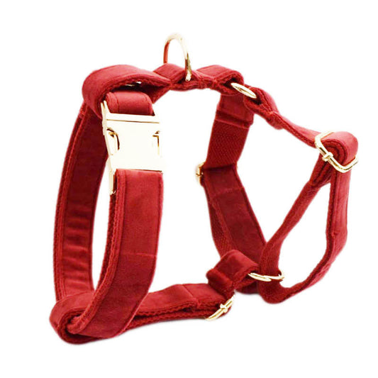 JMT-447818 Five-Piece Pet Collar and Leash Set with Bow, Vest, and Poop Bag for Dogs