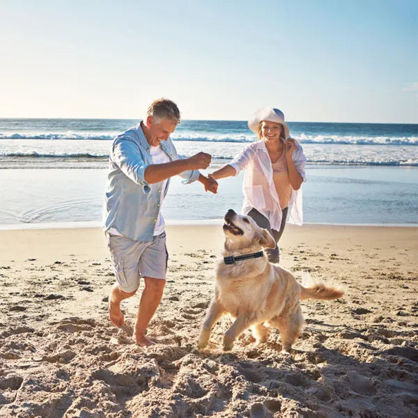 JMT-448138 IP67 Waterproof Dog Training Collar Receiver with Shock, Vibration & Beep Modes - Remote Range up to 3280ft