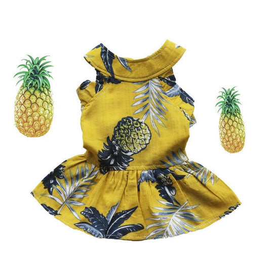 JMT-449418 Hiromi Cotton Princess Dress in White and Yellow - Sizes XS to XL Available
