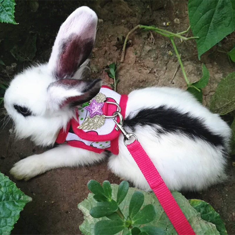 JMT-450122 Vest-Style Chest Strap for Small Pets - Ideal for Rabbits and Guinea Pigs