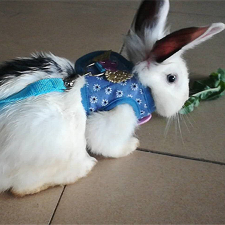 JMT-450122 Vest-Style Chest Strap for Small Pets - Ideal for Rabbits and Guinea Pigs
