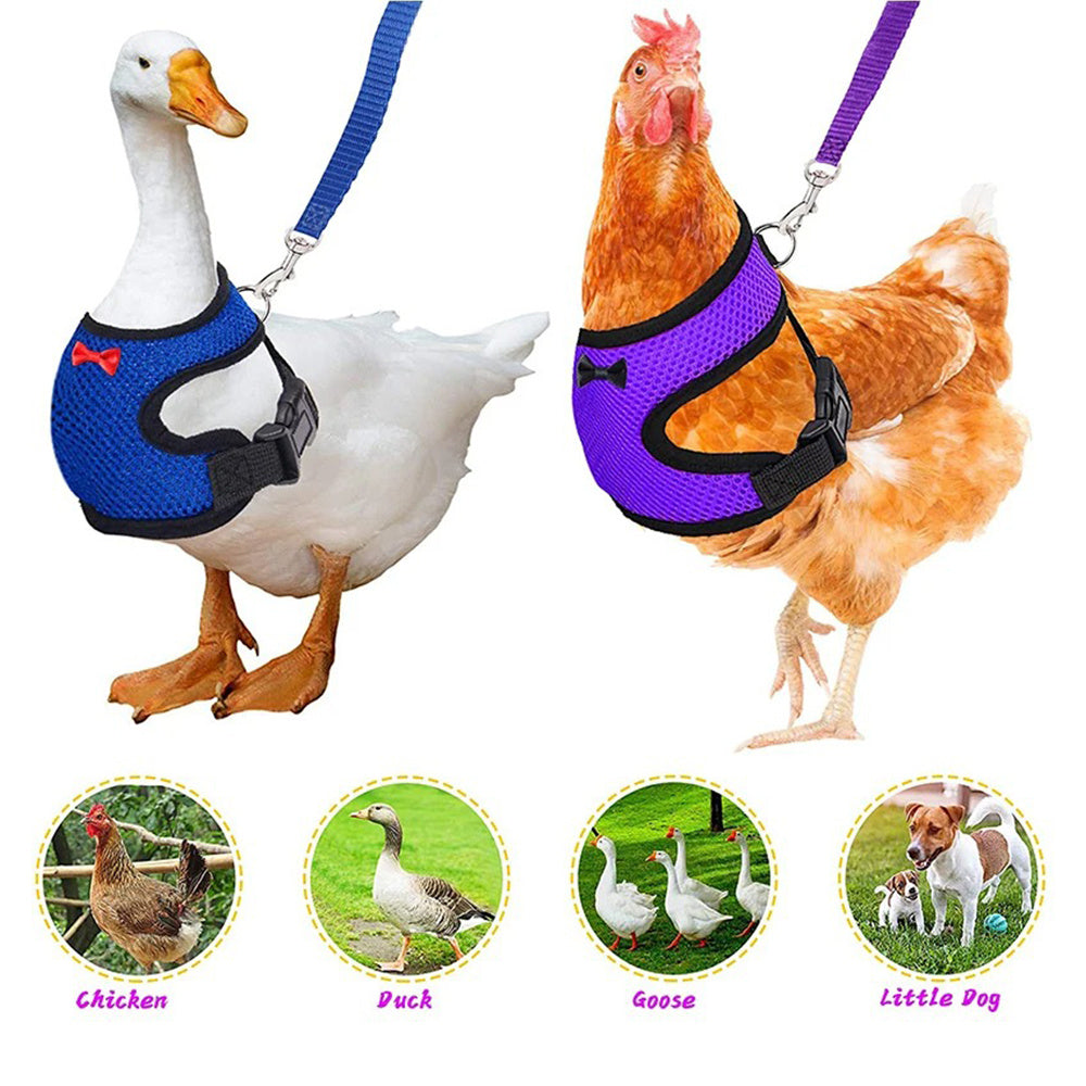 JMT-453066 Pet Harness and Vest Set for Ducks and Hens with Matching Collars, Adjustable Sizes and Traction Rope