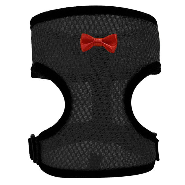 JMT-453066 Pet Harness and Vest Set for Ducks and Hens with Matching Collars, Adjustable Sizes and Traction Rope