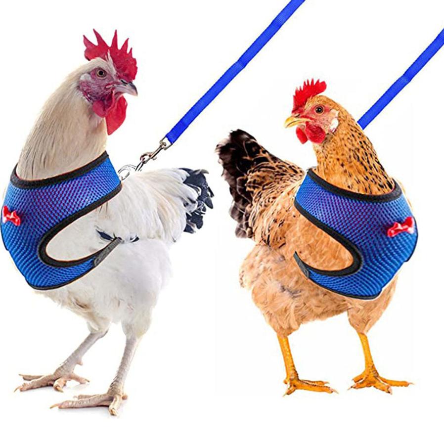 JMT-453066 Pet Harness and Vest Set for Ducks and Hens with Matching Collars, Adjustable Sizes and Traction Rope