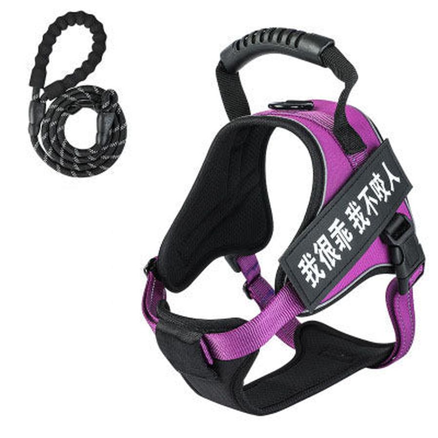 JMT-453578 Adjustable Pet Harness with Matching Leash - Multiple Colors Available