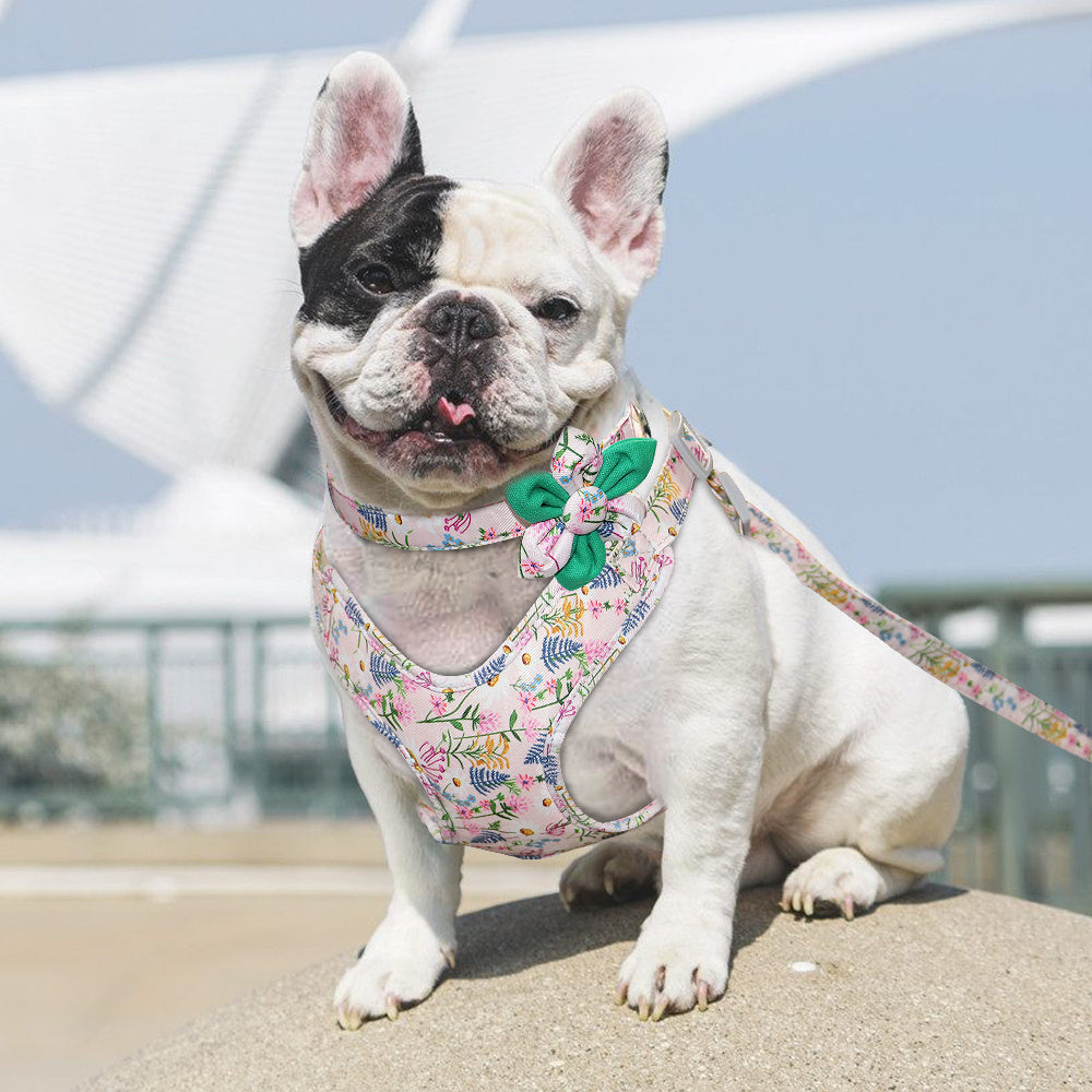 JMT-454026 Dog Traction Rope Vest Collar with Chest Strap and Decorative Flowers, Sizes S/M/L