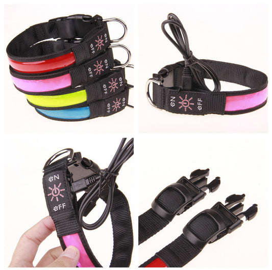 JMT-455050 Rechargeable Luminous Dog Collar in Multiple Colors for All Breeds
