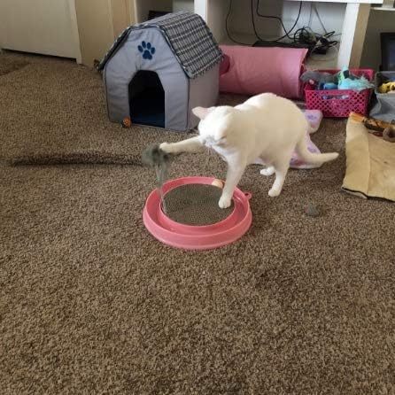 JMT-455690 Interactive Cat Scratcher Toy with Track Ball for Stimulation and Scratch Prevention, Includes Replaceable Scratch Pad