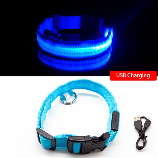 JMT-457354 Rechargeable LED Dog Collar with Adjustable Sizes and Multiple Colors