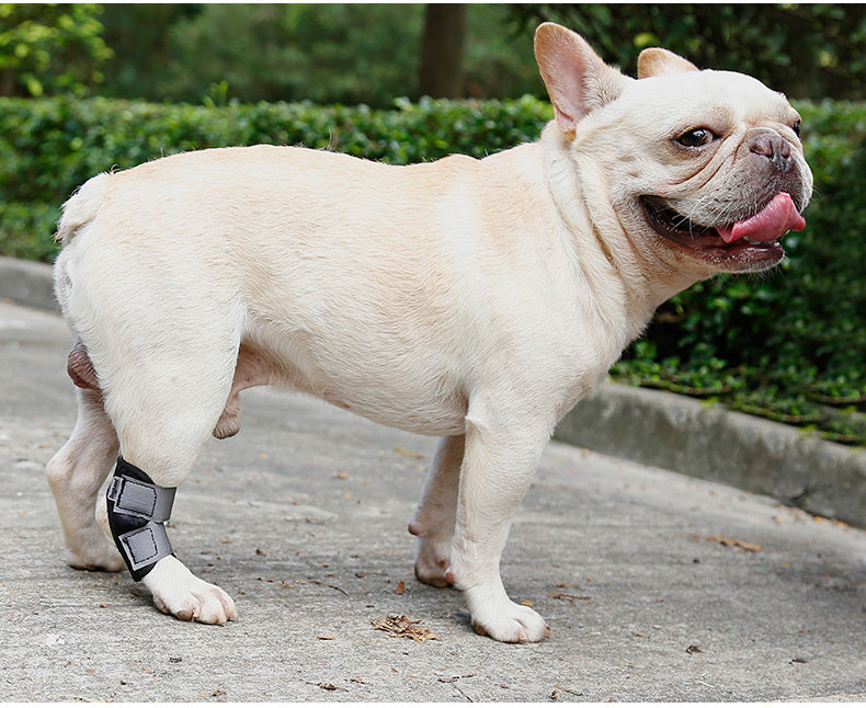 JMT-466378 Dog Recovery Leg Cover - Neoprene Wound Protector for Active Dogs, Sizes S to XL