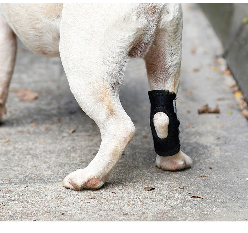 JMT-466378 Dog Recovery Leg Cover - Neoprene Wound Protector for Active Dogs, Sizes S to XL