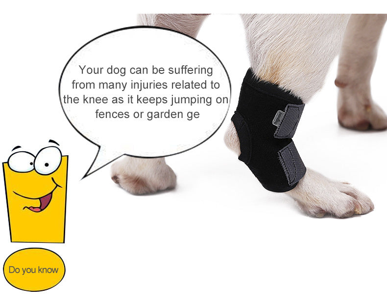 JMT-466378 Dog Recovery Leg Cover - Neoprene Wound Protector for Active Dogs, Sizes S to XL