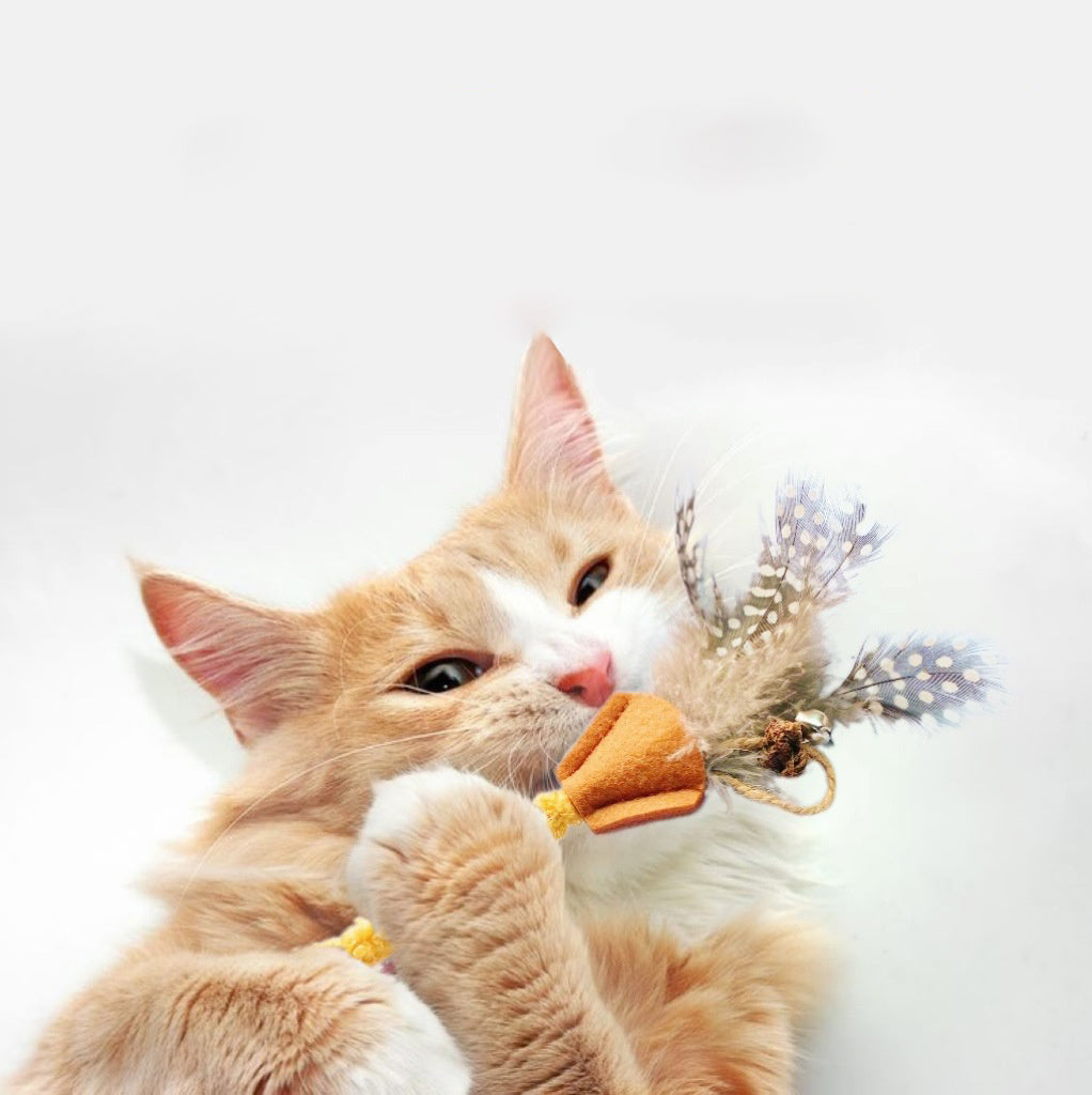 JMT-471498 Natural Polygonum Wood Molar Stick for Cats - Interactive Feather Toy