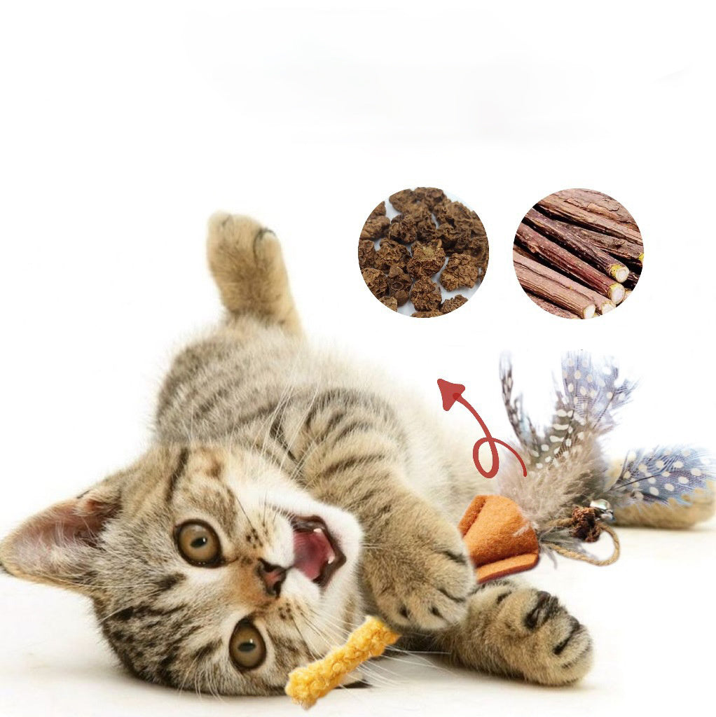 JMT-471498 Natural Polygonum Wood Molar Stick for Cats - Interactive Feather Toy