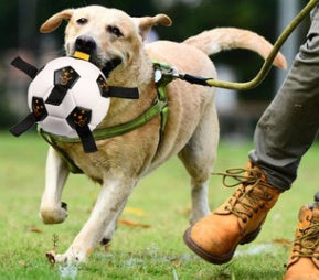 JMT-472650 Interactive Rope Football for Dogs - Durable TPU and Cotton Yarn, Suitable for Small to Large Breeds