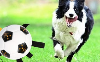 JMT-472650 Interactive Rope Football for Dogs - Durable TPU and Cotton Yarn, Suitable for Small to Large Breeds