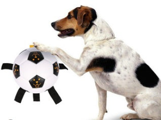 JMT-472650 Interactive Rope Football for Dogs - Durable TPU and Cotton Yarn, Suitable for Small to Large Breeds