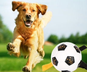 JMT-472650 Interactive Rope Football for Dogs - Durable TPU and Cotton Yarn, Suitable for Small to Large Breeds