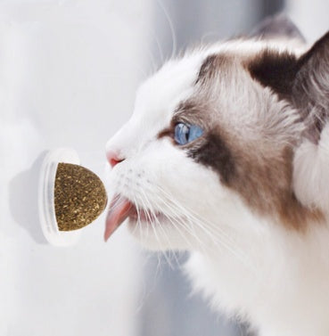 JMT-474954 Mint Catnip Ball Toy - Fun Playing Balls for Cats (3.3cm & 4cm Sizes Available)