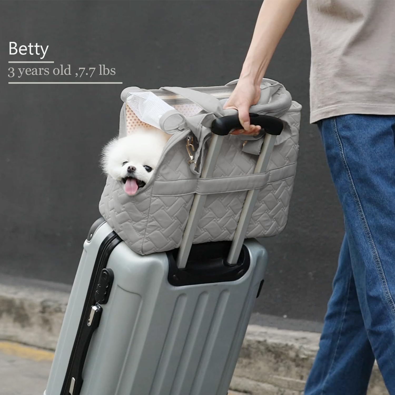 JMT-480650 Compact Pet Carrier Bag with Breathable Mesh and Soft Cushion for Travel and Outdoor Use
