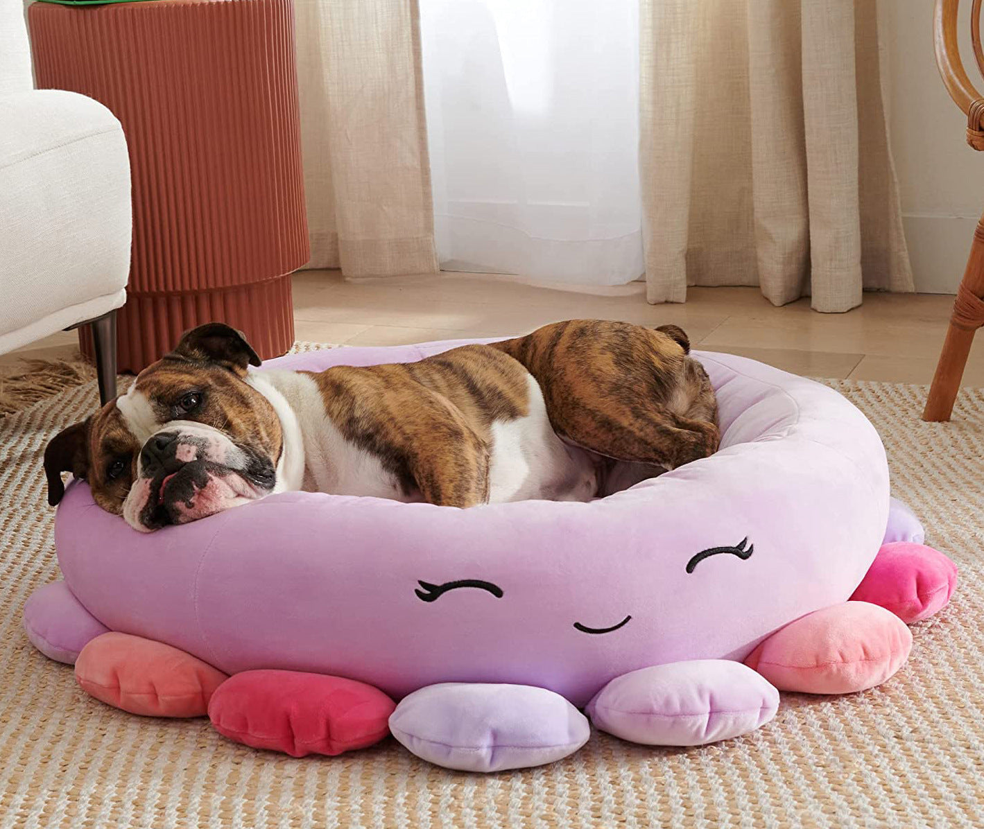 JMT-483018 Ultra-Soft Plush Shark and Maui Pineapple Bolster Pet Beds - Large, Snuggly & Non-Skid Design