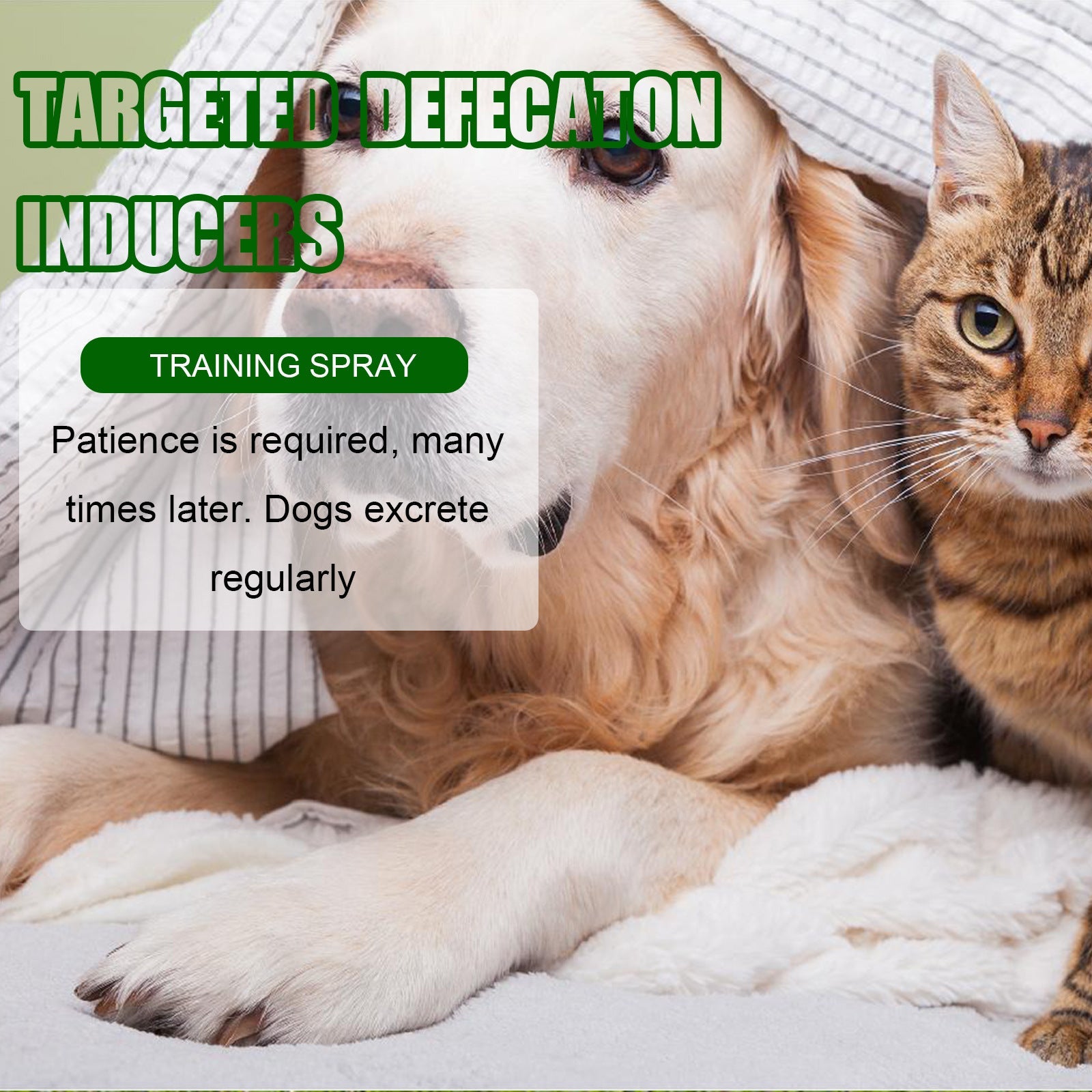 JMT-483786 Pet Toilet Training Inducer with Natural Oils for Effective Defecation Guidance
