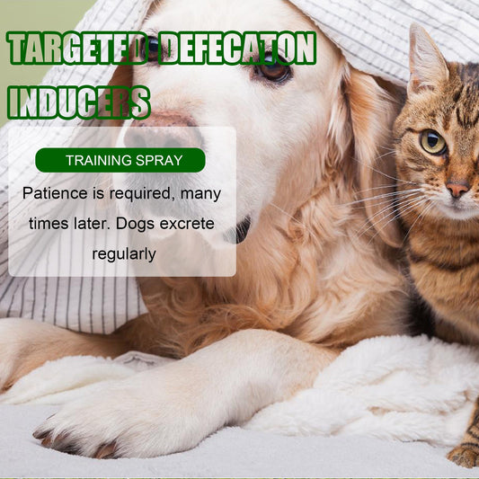JMT-483786 Pet Toilet Training Inducer with Natural Oils for Effective Defecation Guidance