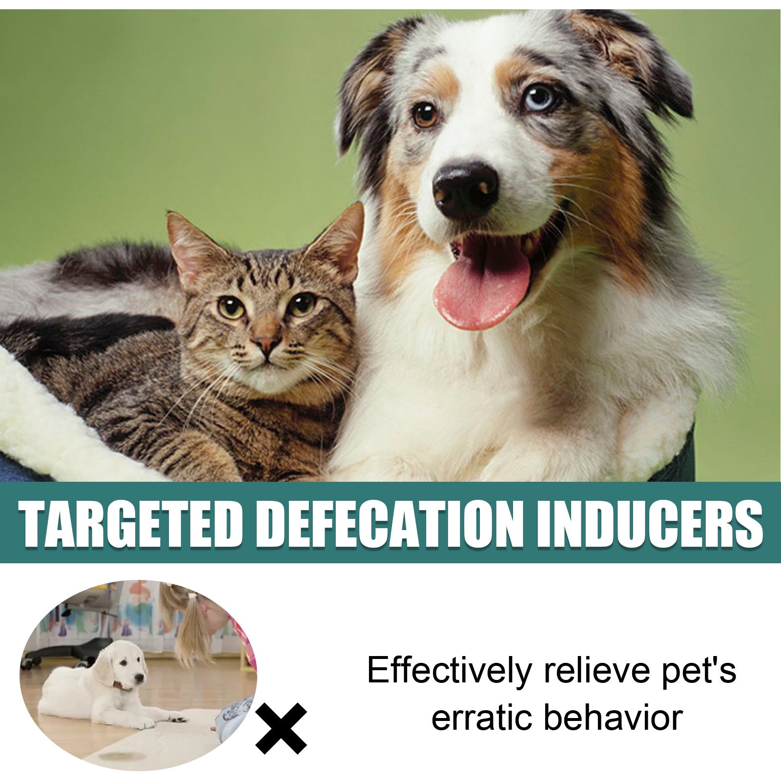 JMT-483786 Pet Toilet Training Inducer with Natural Oils for Effective Defecation Guidance