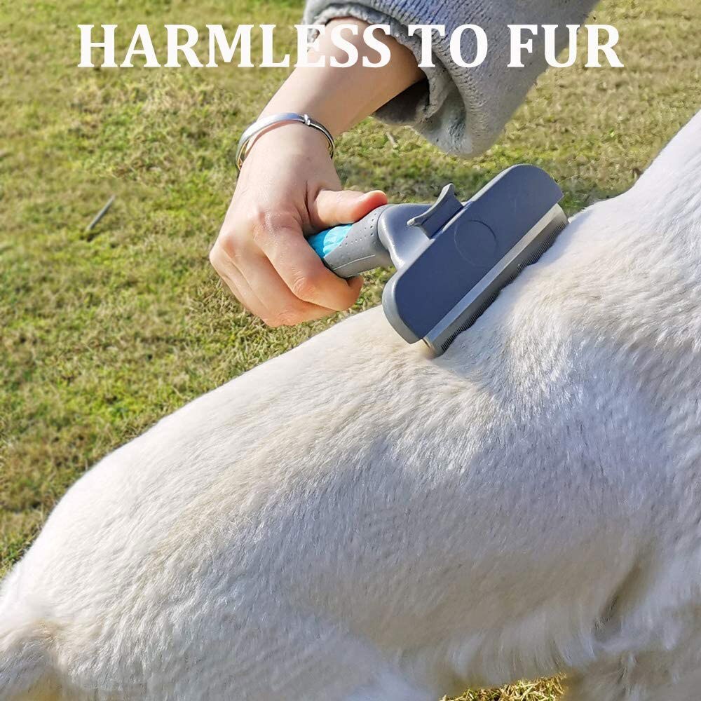 JMT-488394 Pet Hair Removal Comb for Cats and Dogs - Stainless Steel Grooming Brush in Green, Pink, and Blue