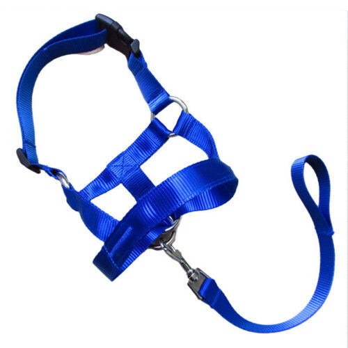 JMT-496714 Nylon Dog Cover with Adjustable Leash - Available in Black, Red, and Blue