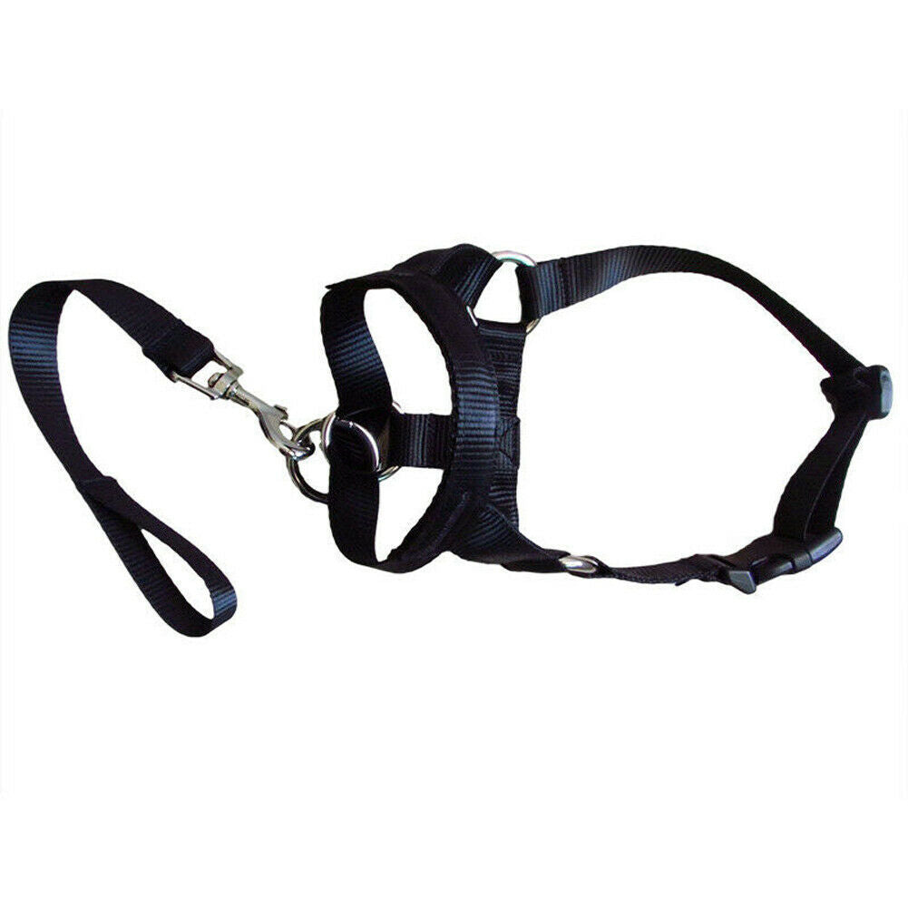 JMT-496714 Nylon Dog Cover with Adjustable Leash - Available in Black, Red, and Blue