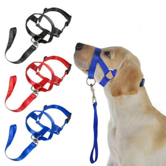 JMT-496714 Nylon Dog Cover with Adjustable Leash - Available in Black, Red, and Blue