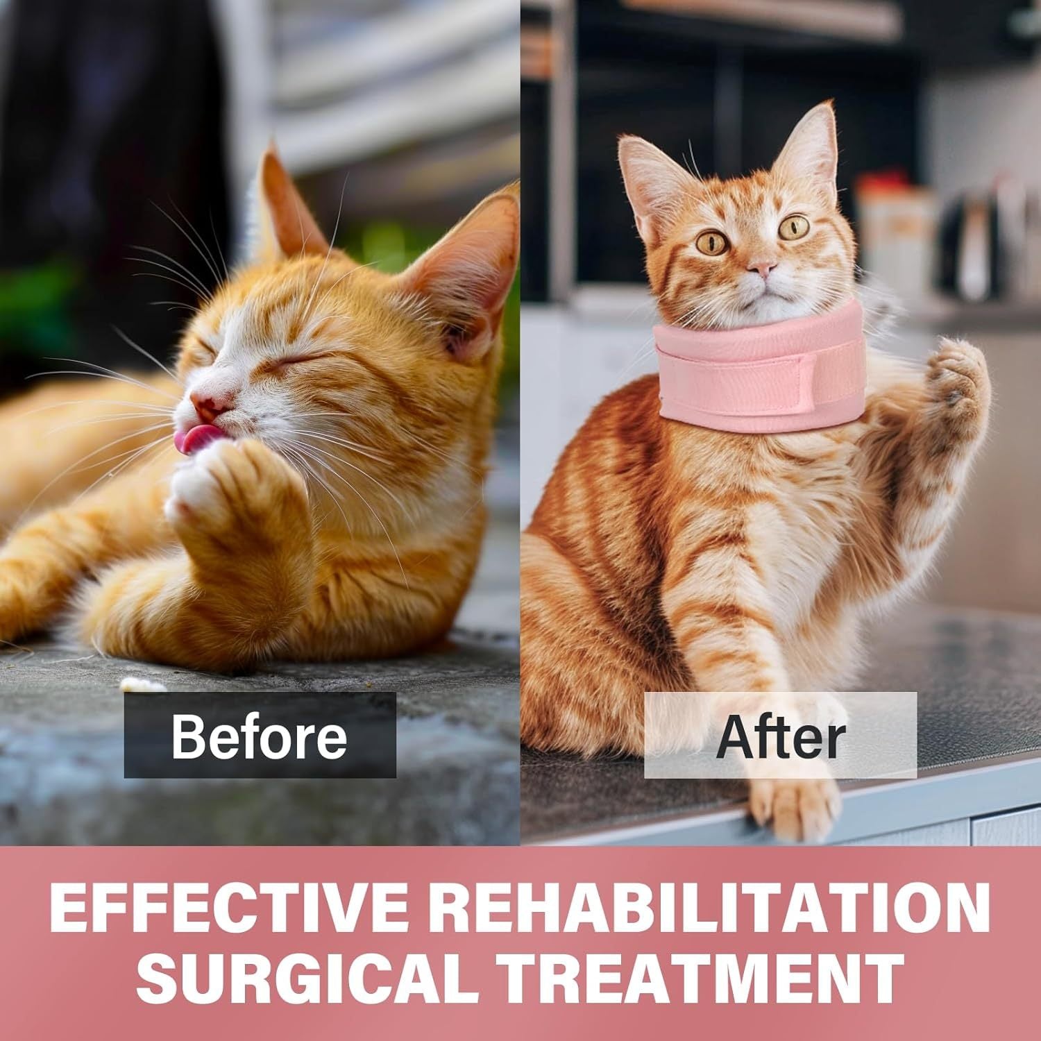 JMT-497866 Soft Cat and Dog Cone Collar for Post-Surgery Recovery Support - Adjustable Neck Brace for Comfortable Healing