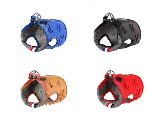 JMT-501002 Comfortable Dog Vest with Breathable Mesh and Shock-Absorbing Design