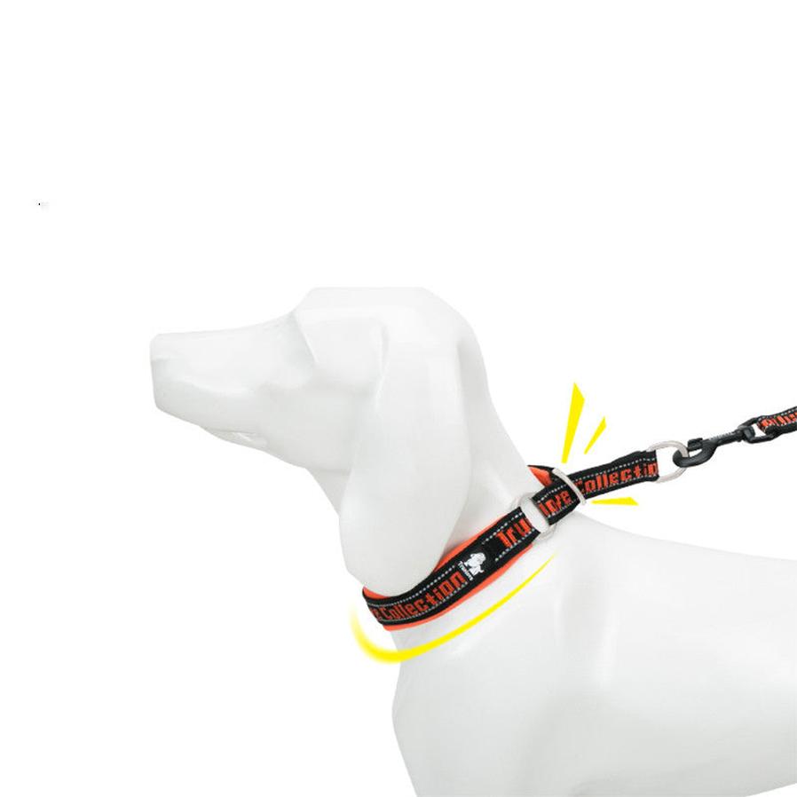 JMT-501322 Adjustable Reflective Dog Collar in Multiple Colors with Soft Nylon and Neoprene Material