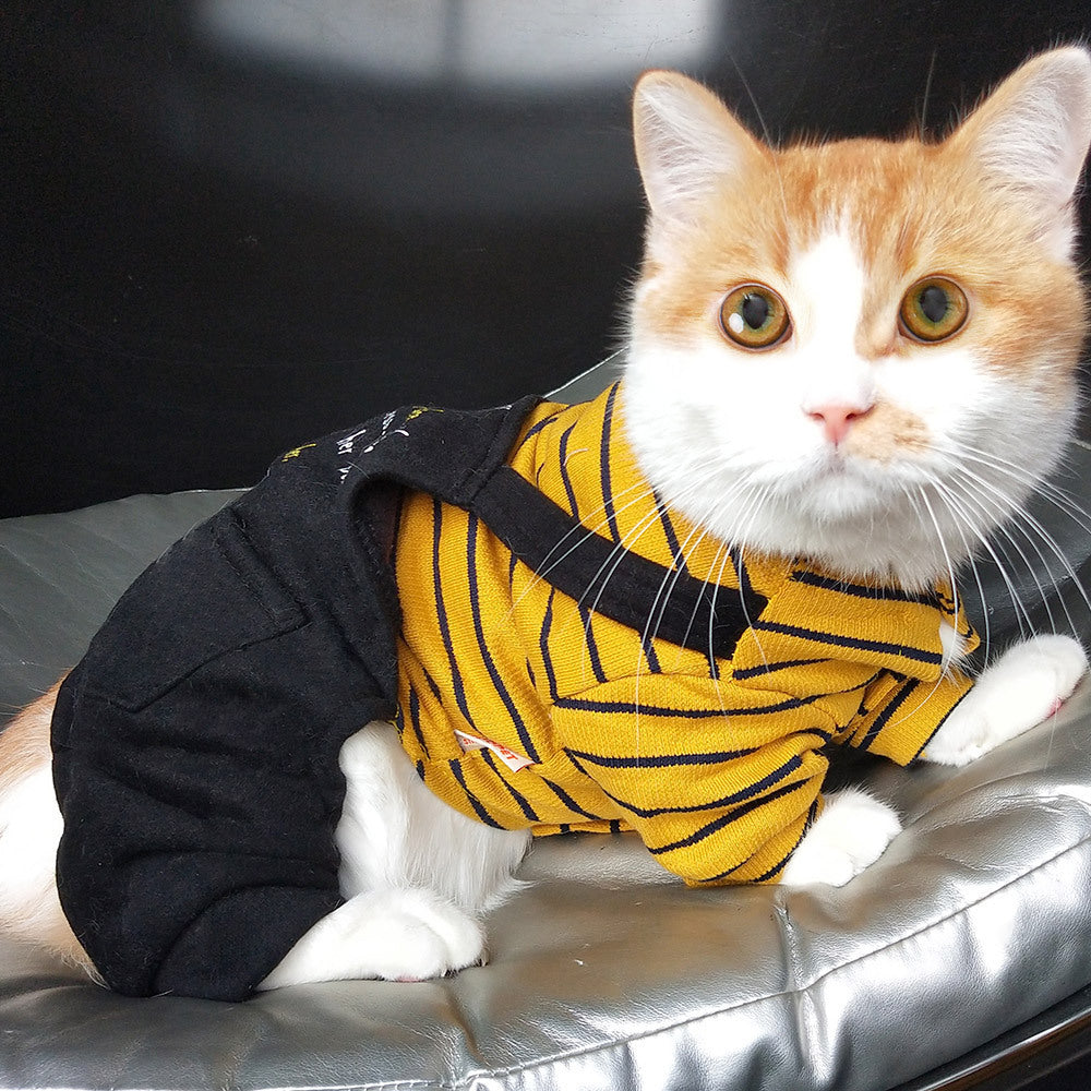 JMT-503754 Cozy Knitted Winter Clothes for Kittens and Cats in Striped Patterns