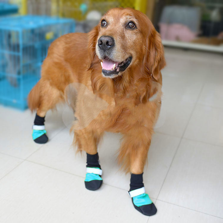 JMT-506890 Durable Wear-Resistant Oxford Pet Shoes for All Seasons - Non-Slip Outdoor Design